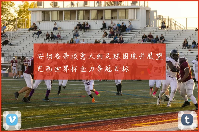 安切洛蒂谈意大利足球困境并展望巴西世界杯全力争冠目标